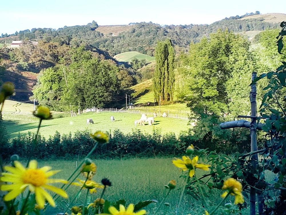 "Chez Naty" Chambres D'Hotes Au Pays-Basque Cheraute Εξωτερικό φωτογραφία
